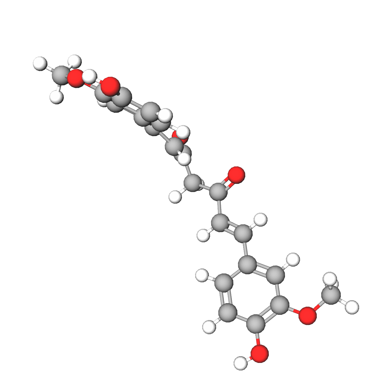 WebP Image