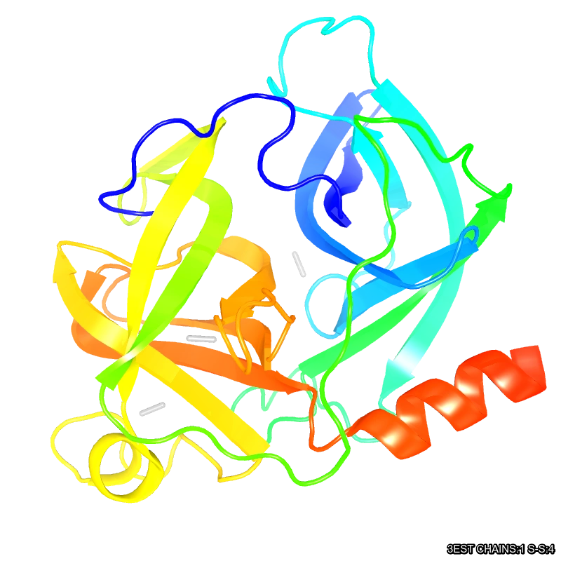 Molecules in Chromatography