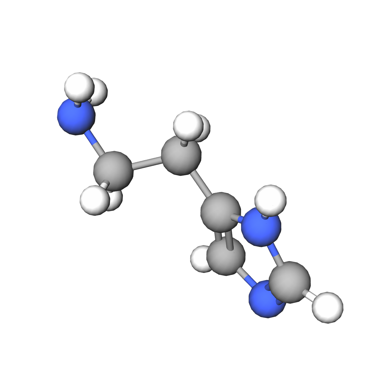 WebP Image
