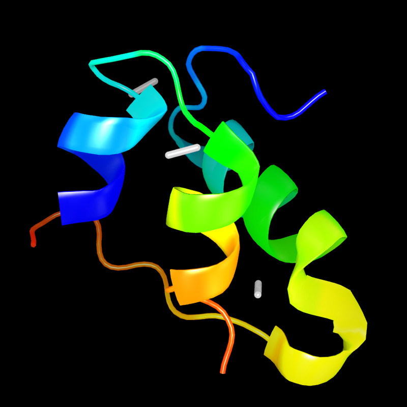 Molecules in Chromatography - Insulin-Bovine (JPG)