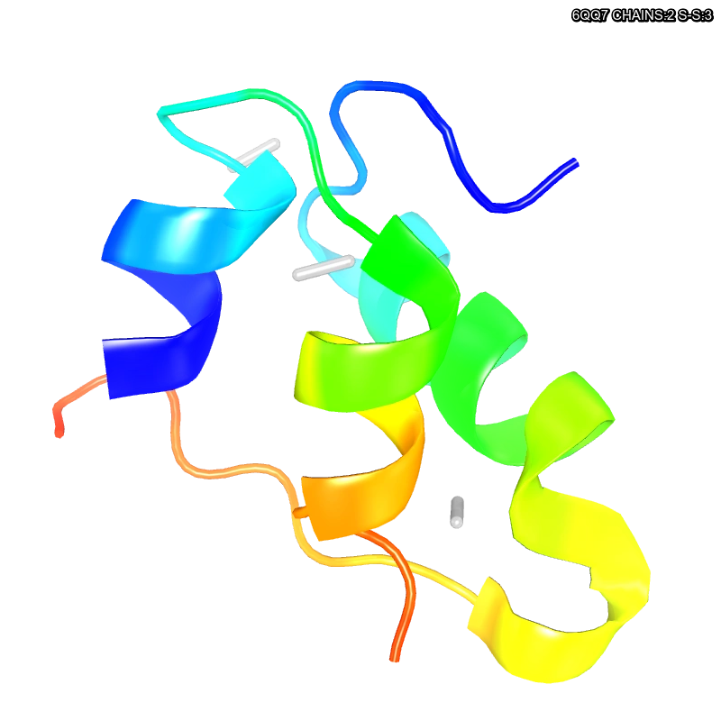 Molecules in Chromatography - Insulin-Bovine (WebP)