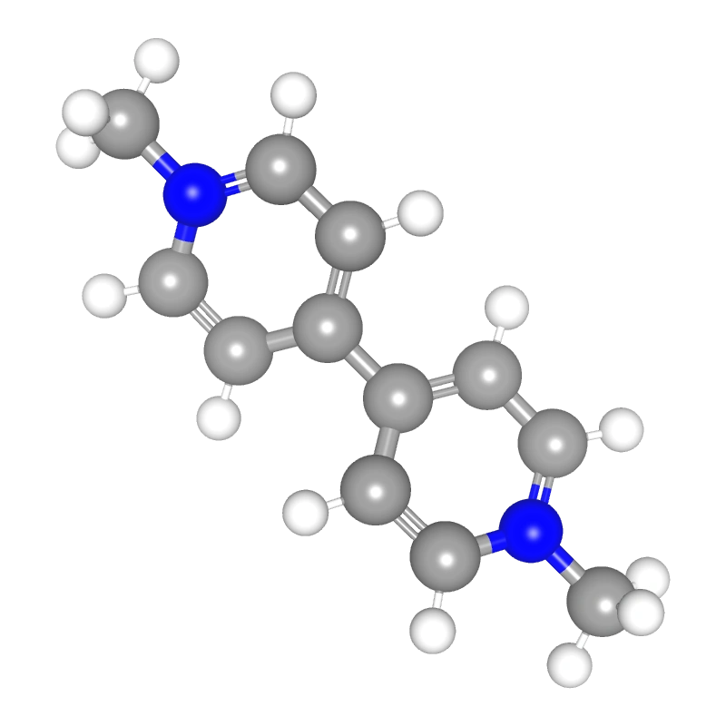 WebP Image