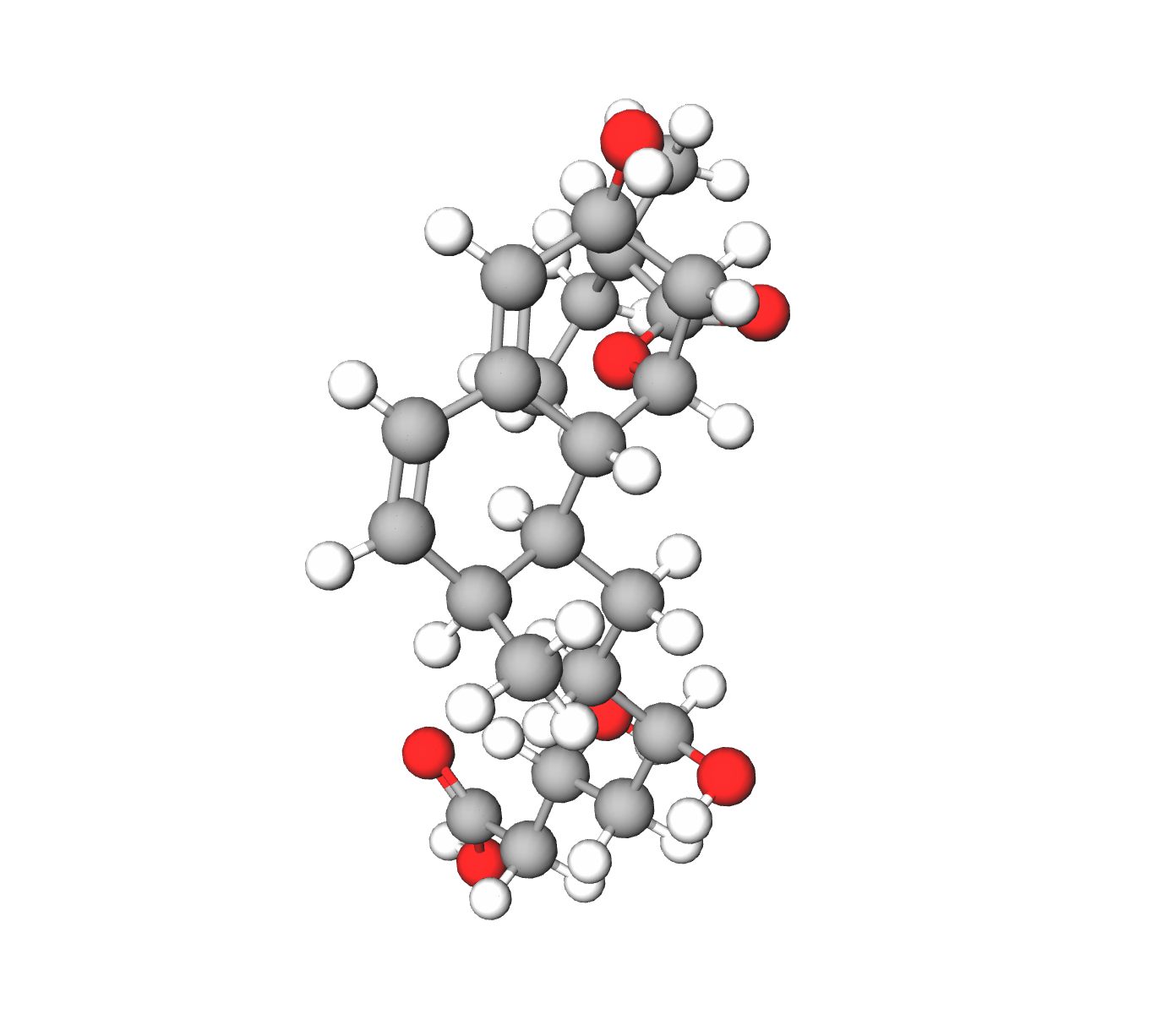 WebP Image