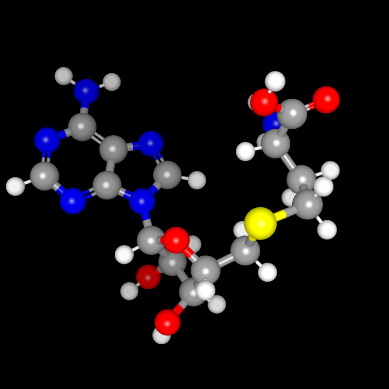 Molecules in Chromatography - SAH (JPG)