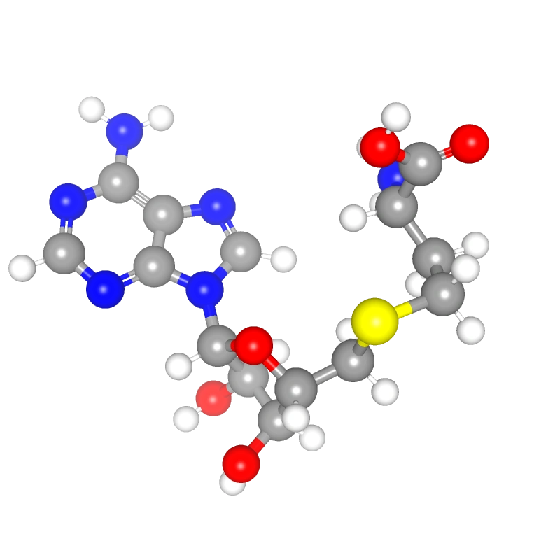 Molecules in Chromatography - SAH (WebP)