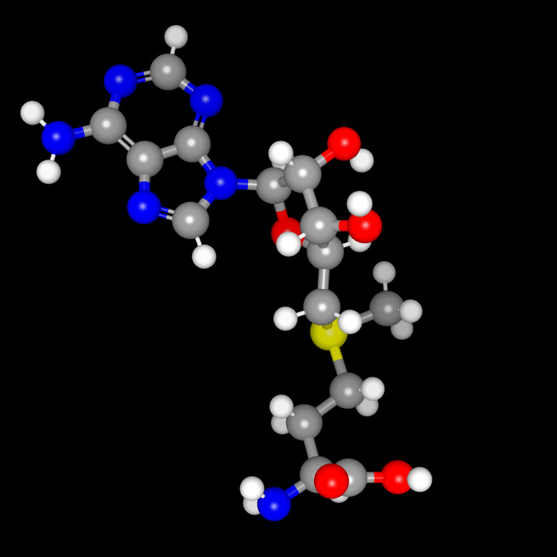 Molecules in Chromatography - SAM (JPG)