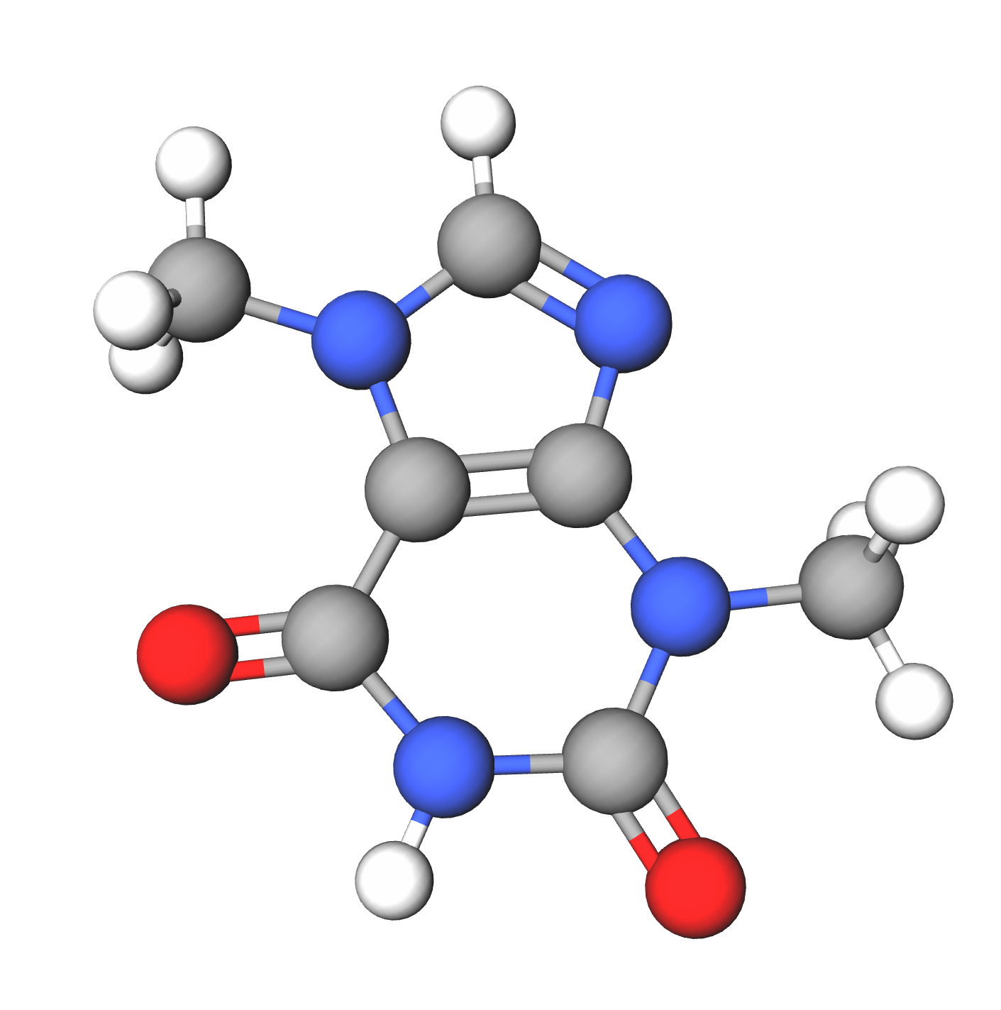 WebP Image
