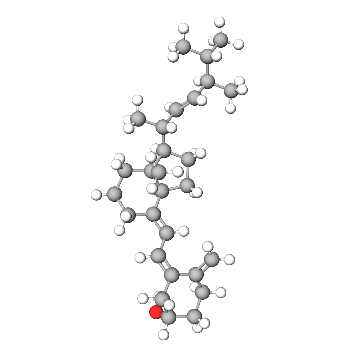 WebP Image