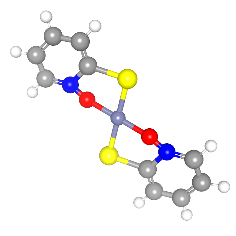WebP Image