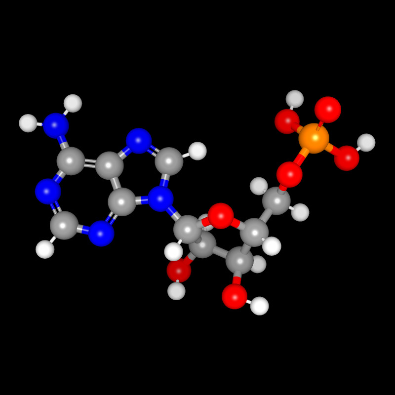 Molecules in Chromatography - AMP (JPG)