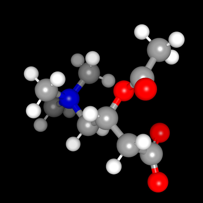 Molecules in Chromatography - AcetylCarnitine (JPG)