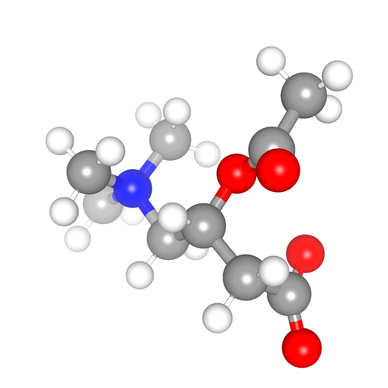Molecules in Chromatography - AcetylCarnitine (WebP)