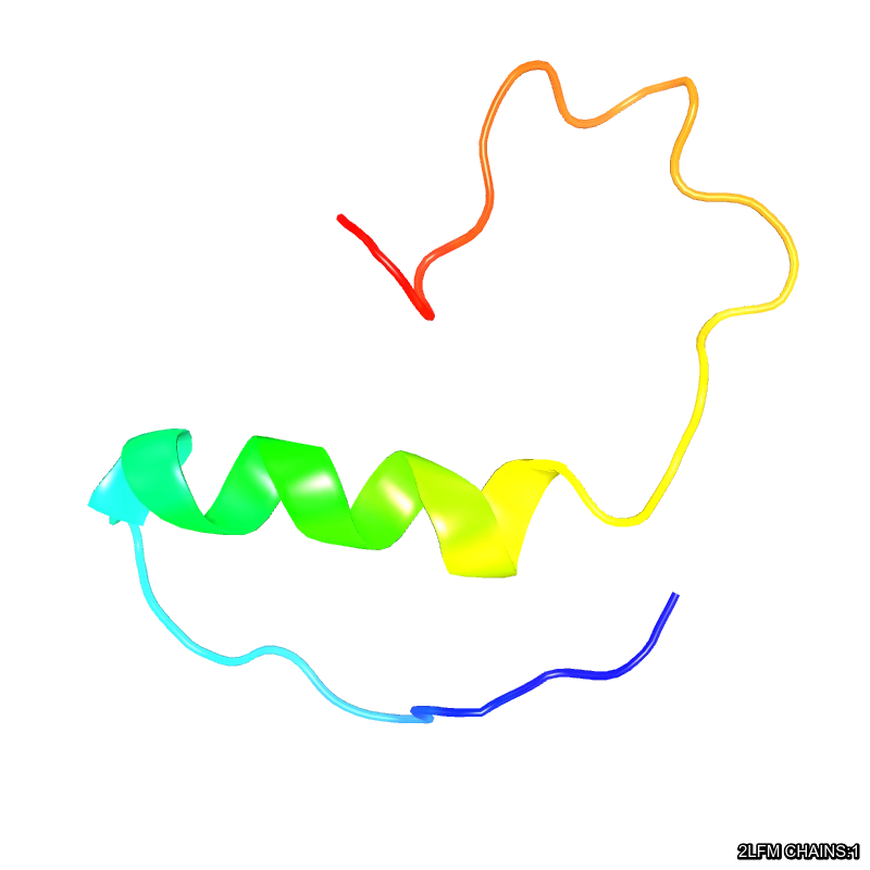 WebP Image