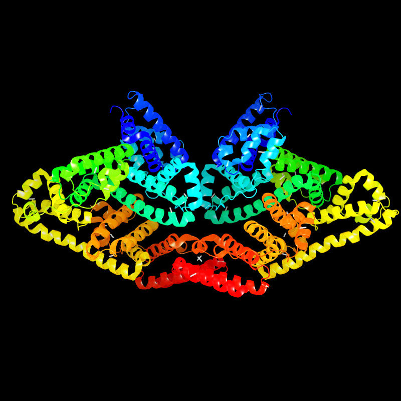 Molecules in Chromatography - BSA-Dimer (JPG)