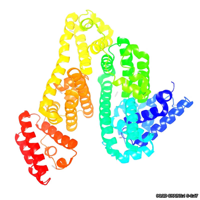 Molecules in Chromatography - BSA (WebP)