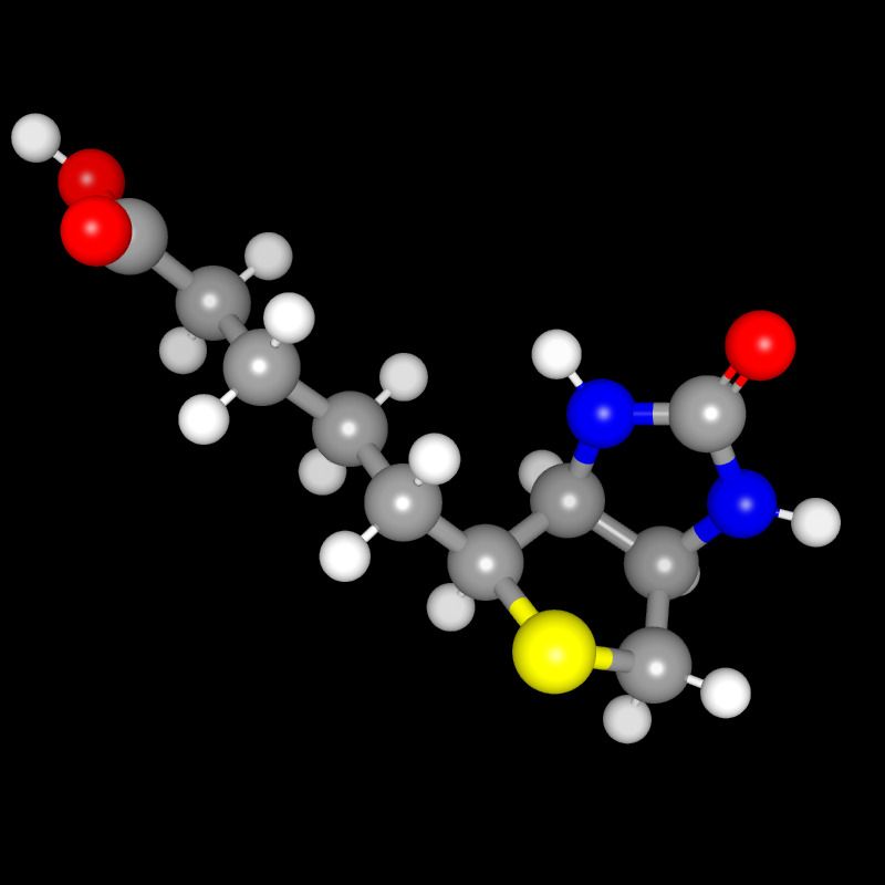 Molecules in Chromatography - Biotin (JPG)