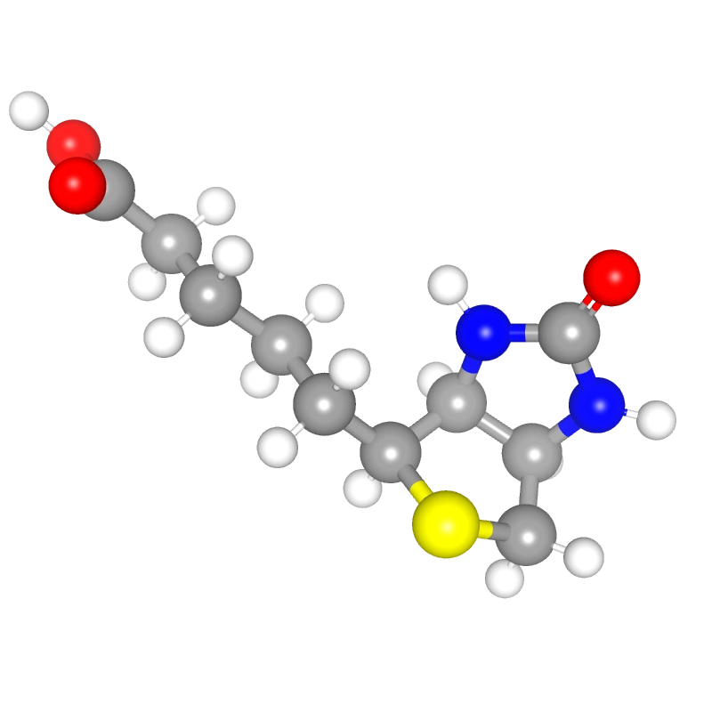 Molecules in Chromatography - Biotin (WebP)