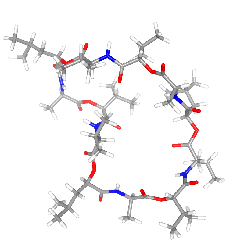 Molecules in Chromatography - Cereulide (WebP)