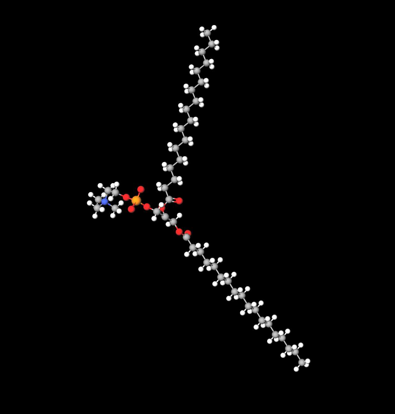 Molecules in Chromatography - DSPC (JPG)