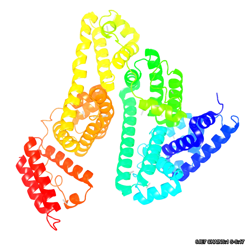 Molecules in Chromatography - HSA (WebP)