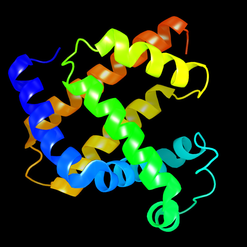 Molecules in Chromatography - Myoglobin (JPG)