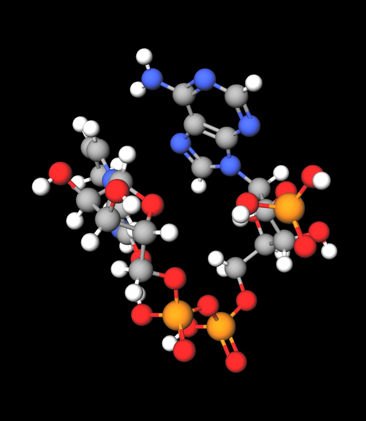 Molecules in Chromatography - NADPH (JPG)