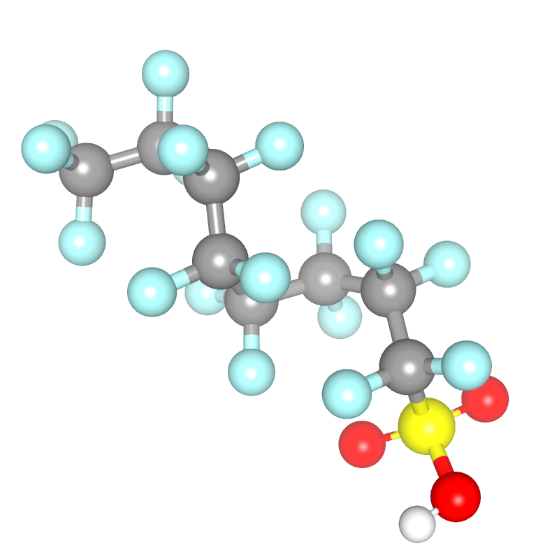 WebP Image