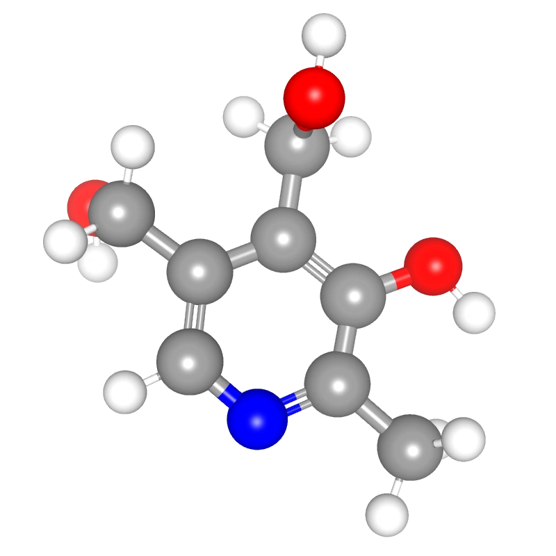 WebP Image