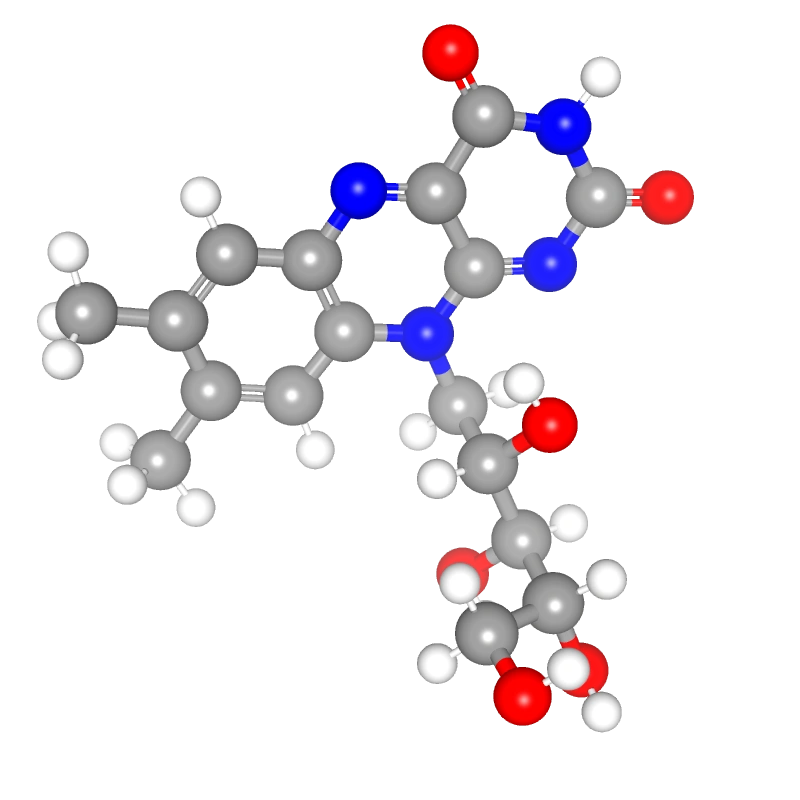 WebP Image