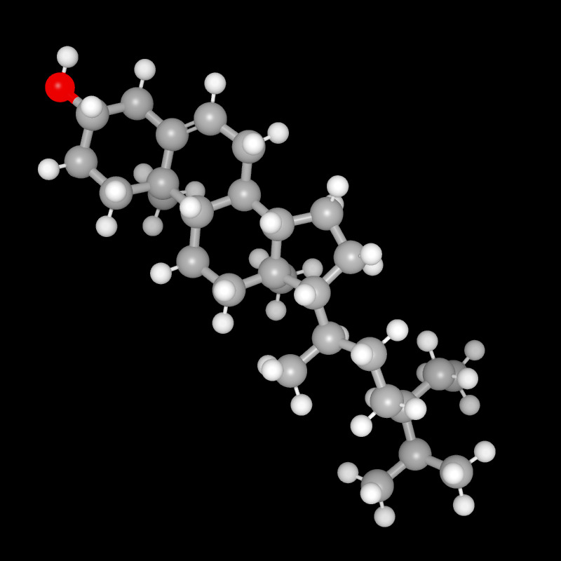 Molecules in Chromatography - beta-Sitosterol (JPG)